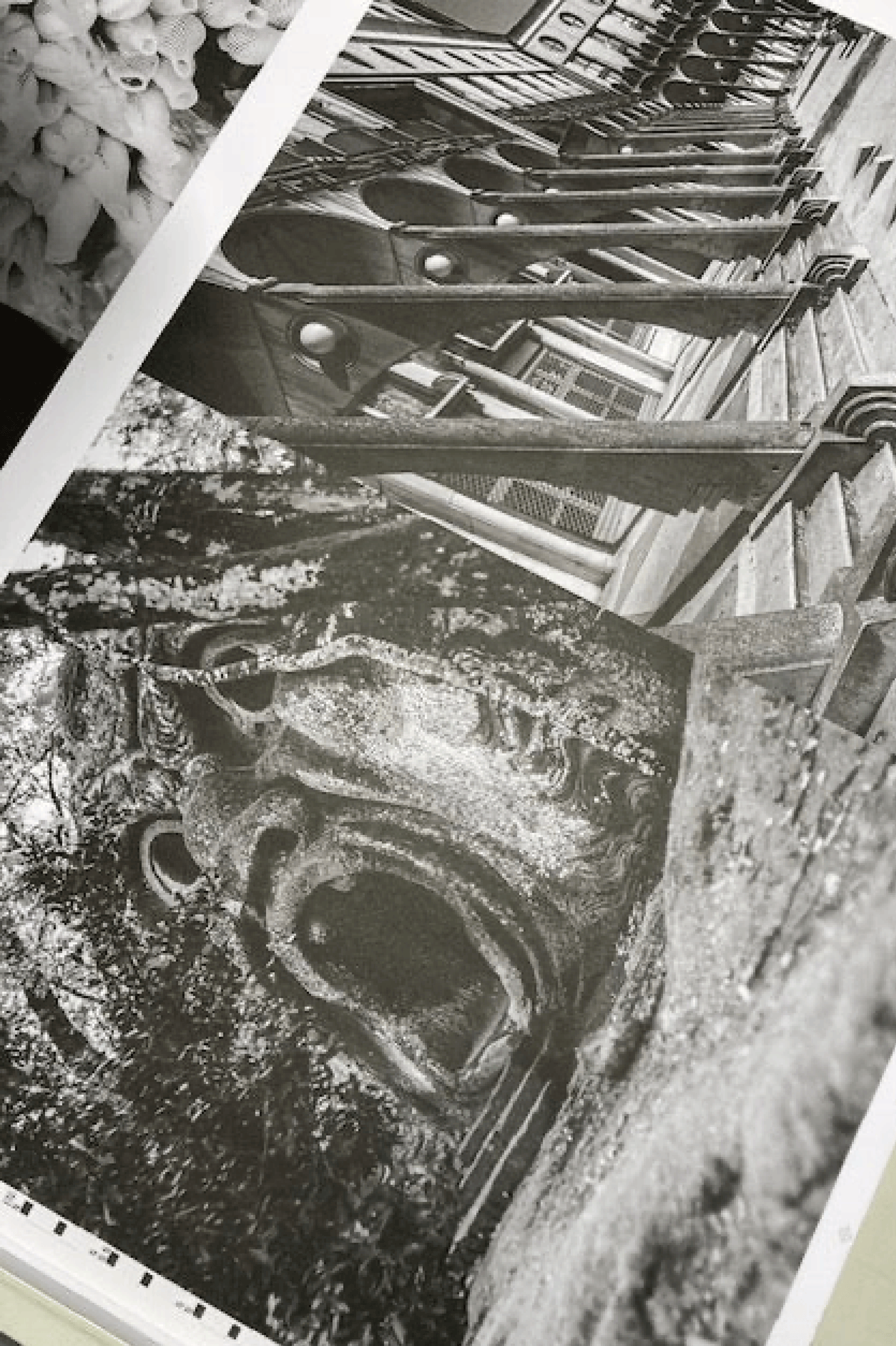 BOSCO MONDO : PARADE ÉSOTÉRIQUE GIANNI OPRANDI - 0fr. Tokyo