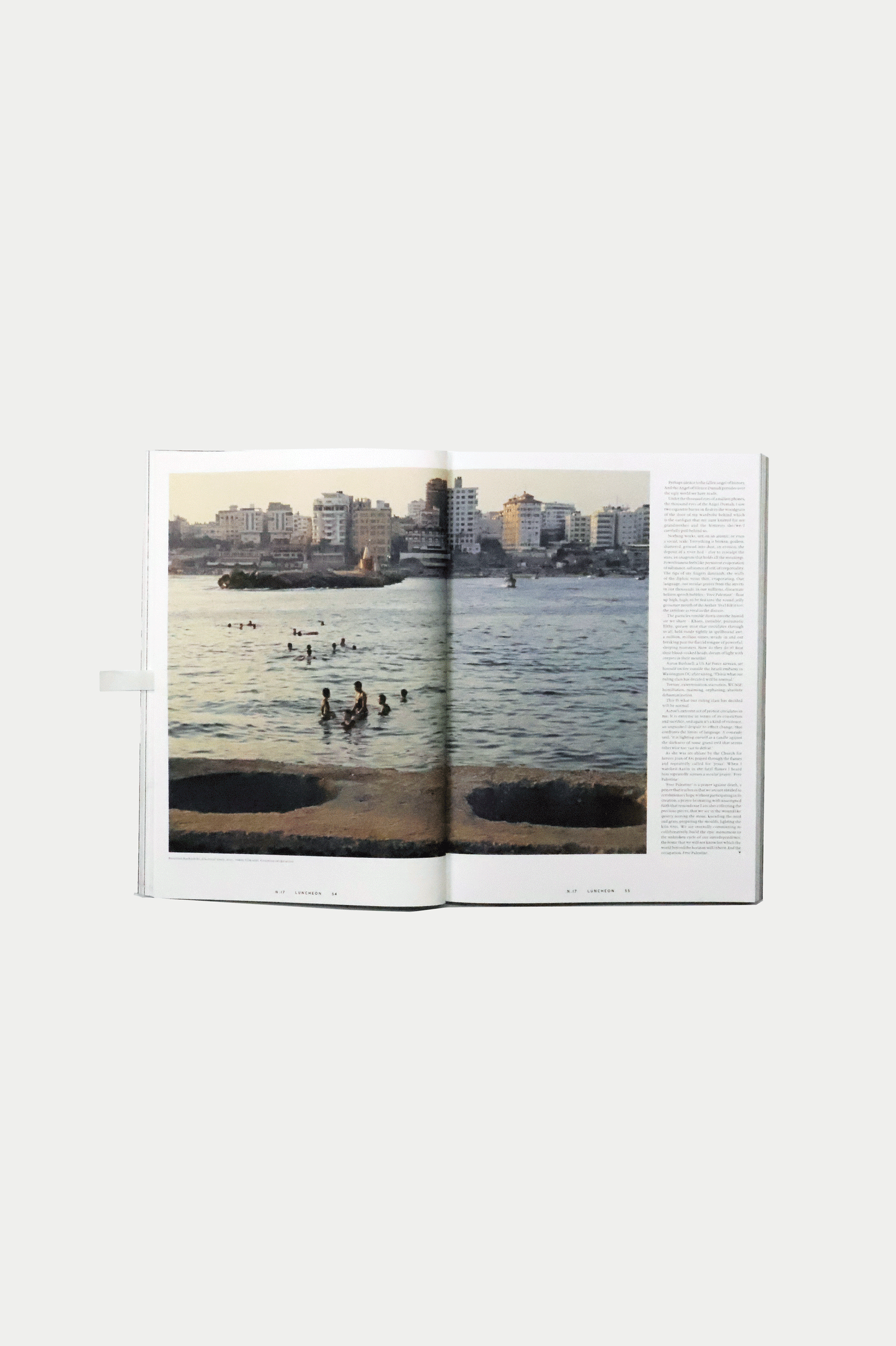 LUNCHEON no. 17 Afterthought by Tim Gutt and Shona Heath