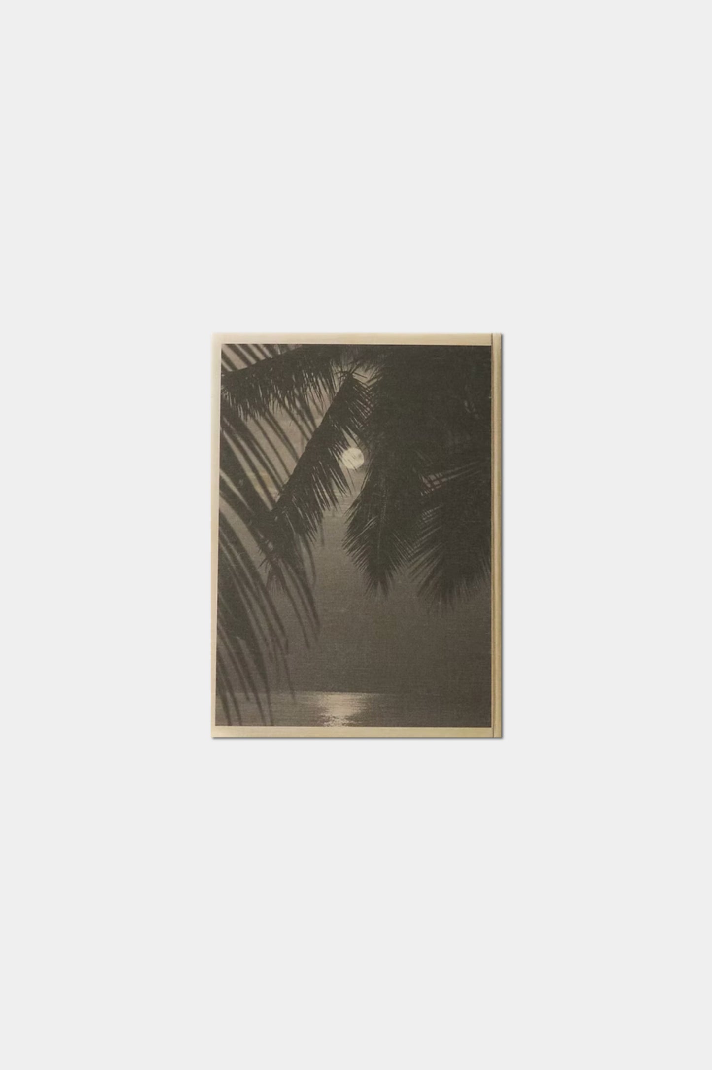 PREMIÈRES IMPRESSIONS JO PESCH