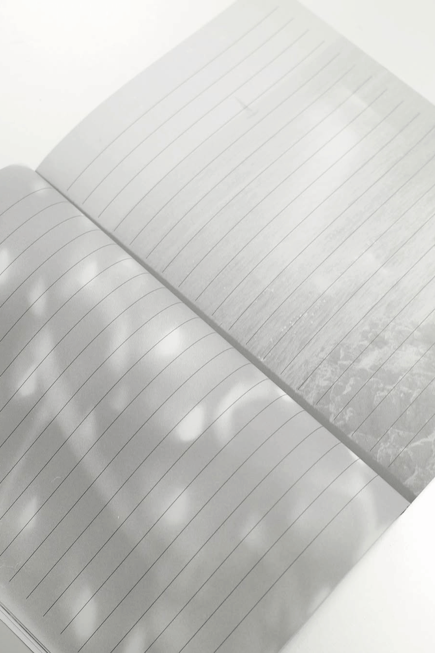 0fr. Signature Notebook (Harper Slone Edition) - 0fr. Tokyo