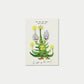 0fr. Xmas Love notes Postcardbook