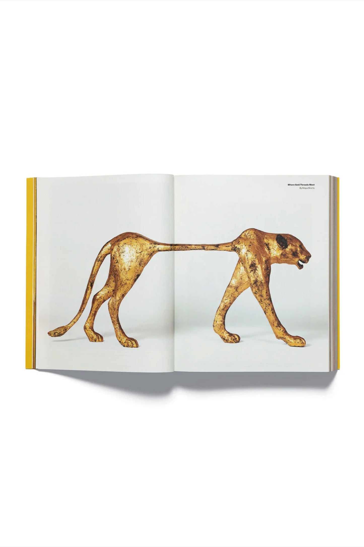 Acne Paper Golden Issue 20