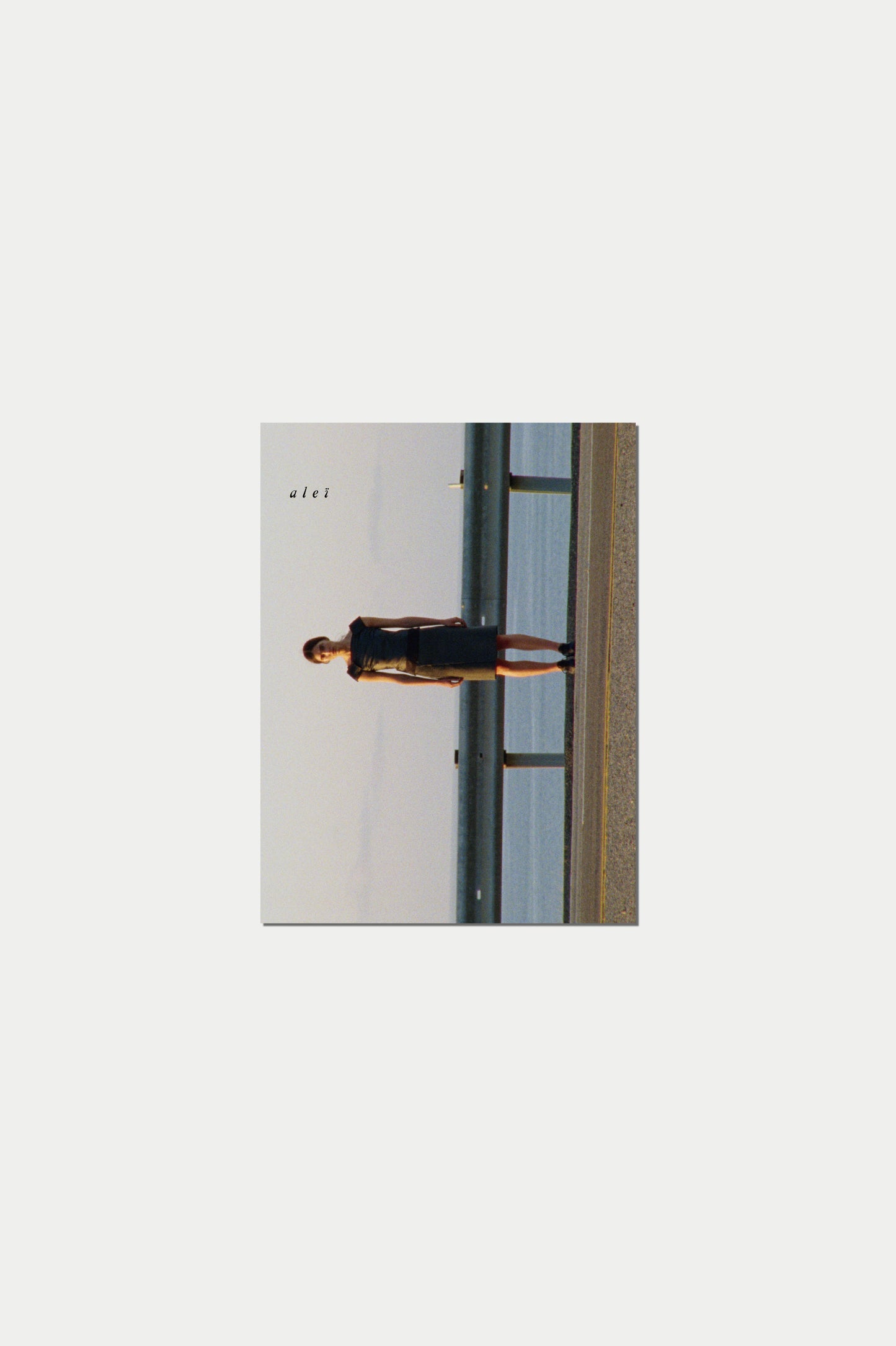 Aleï Journal N°15 Gillian Garcia and Shiva Mizani