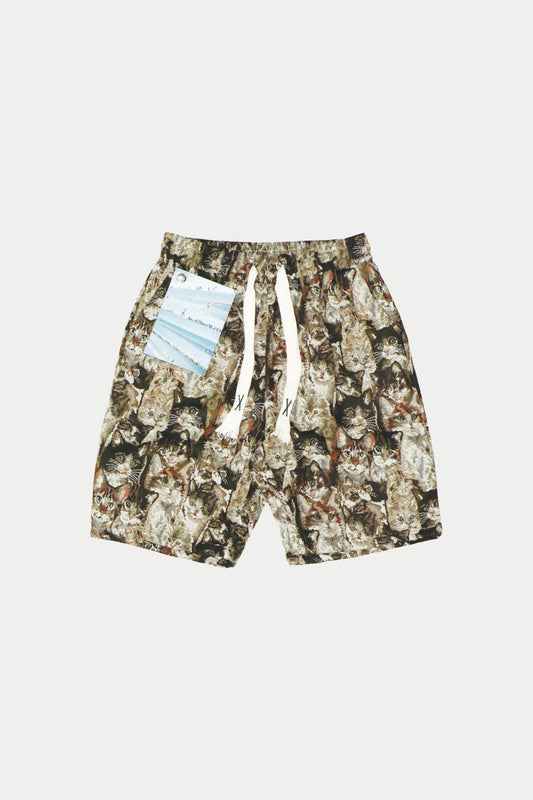 Catshorts Gobelin