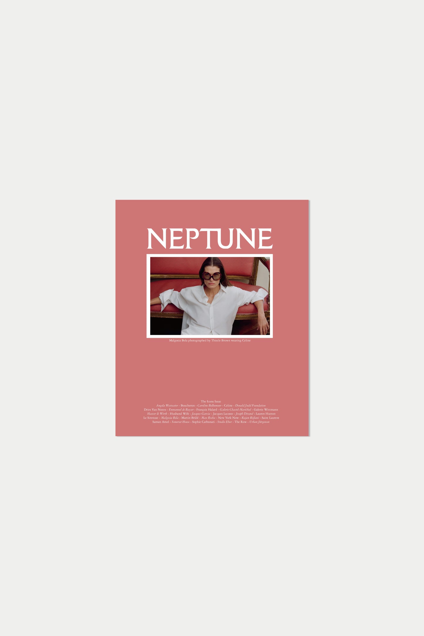 Neptune Papers Issue Ten, Malgosia Bela by Thistle Brown
