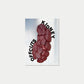 Offcuts, Liver (2nd Edition) Sophie Hambling & Madeleine Sanders