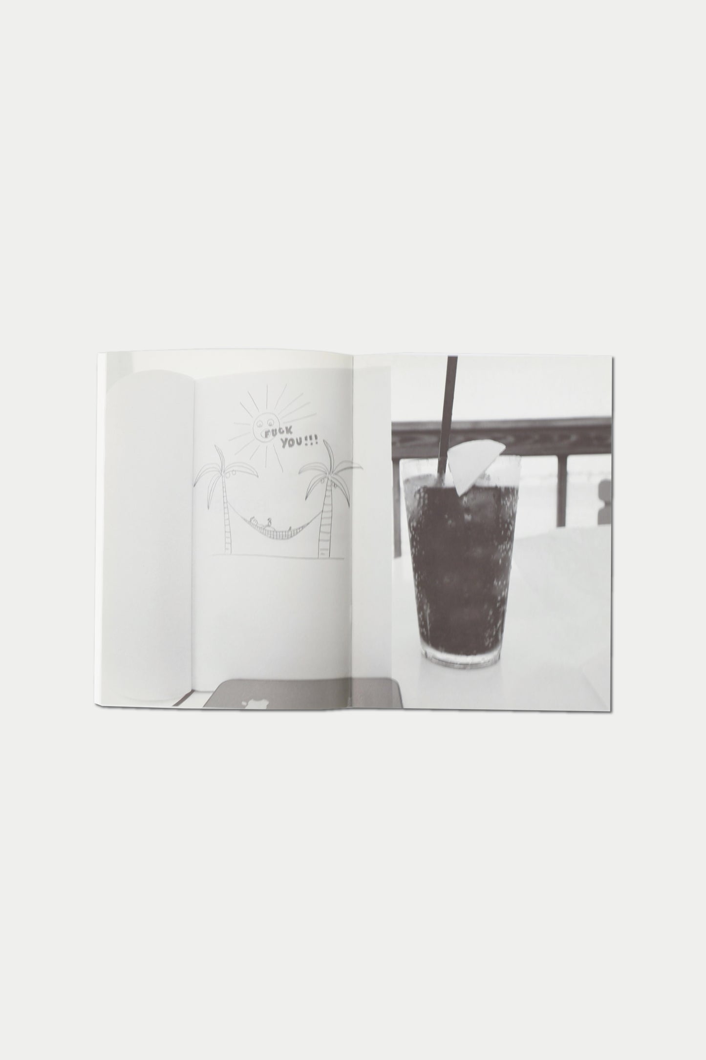 PURPLE BOOK #17 chicken or pasta? the olaf breuning