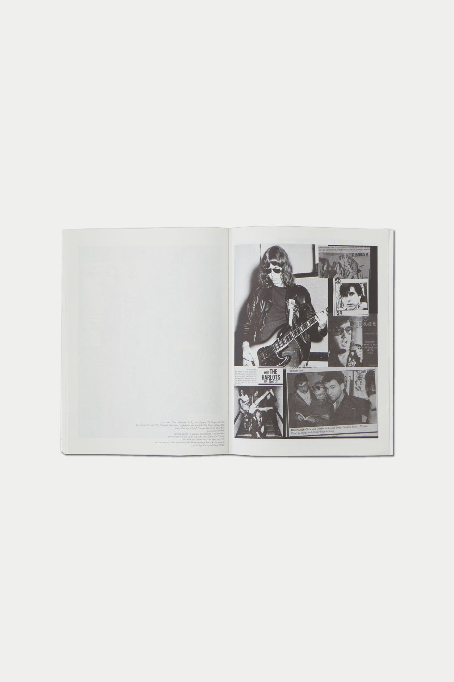 PURPLE DIARY #15 street mouth the thurston moore