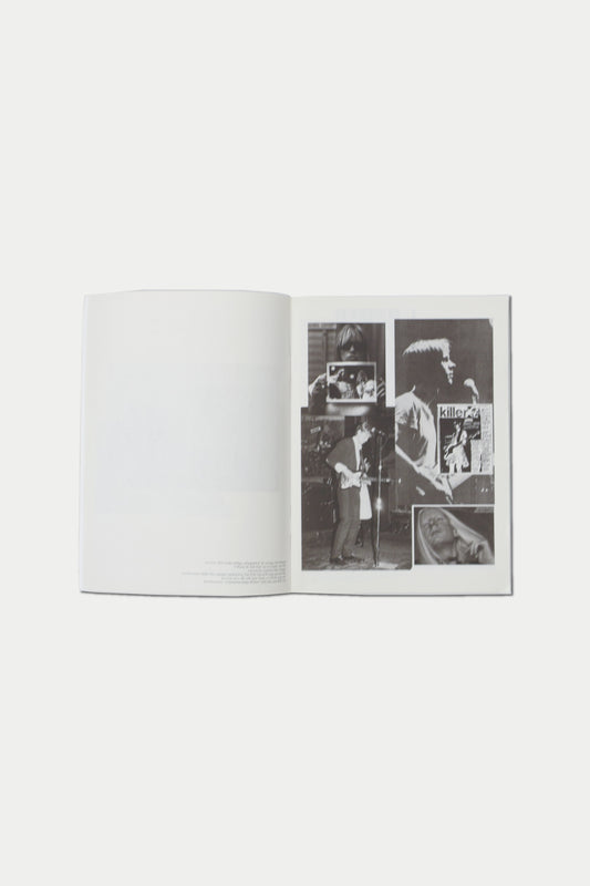 PURPLE DIARY #15 street mouth the thurston moore
