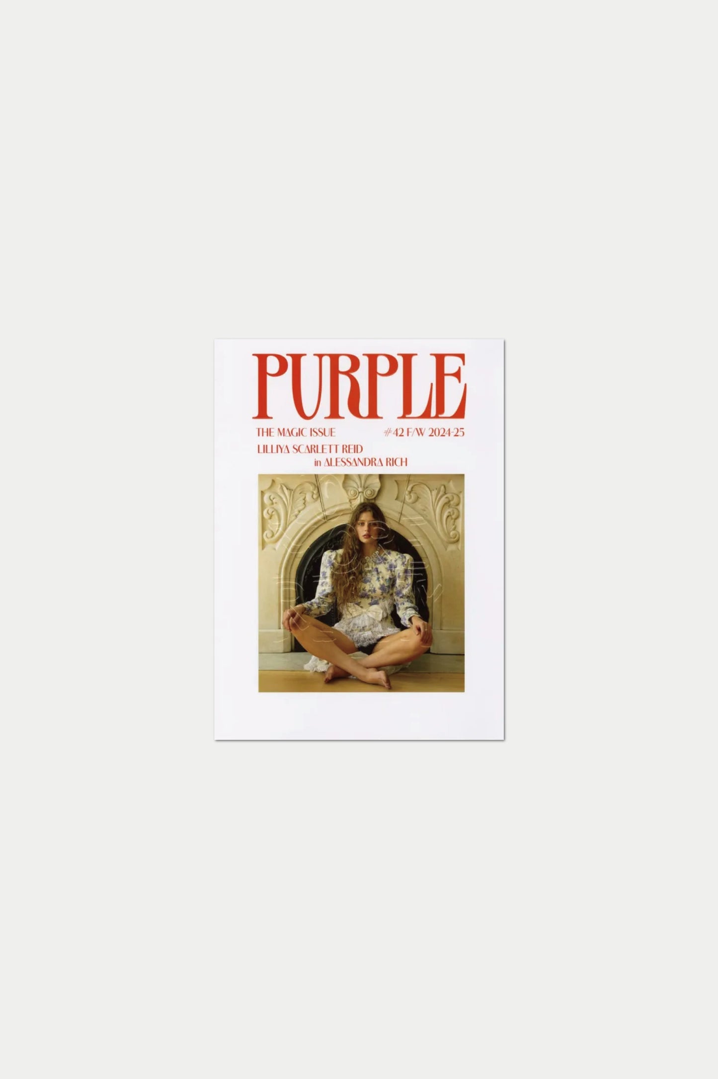 【RARE】PURPLE #42 The Magic Issue : Lilliya scarlett reid in alessandra rich photography by Anna Gaskell
