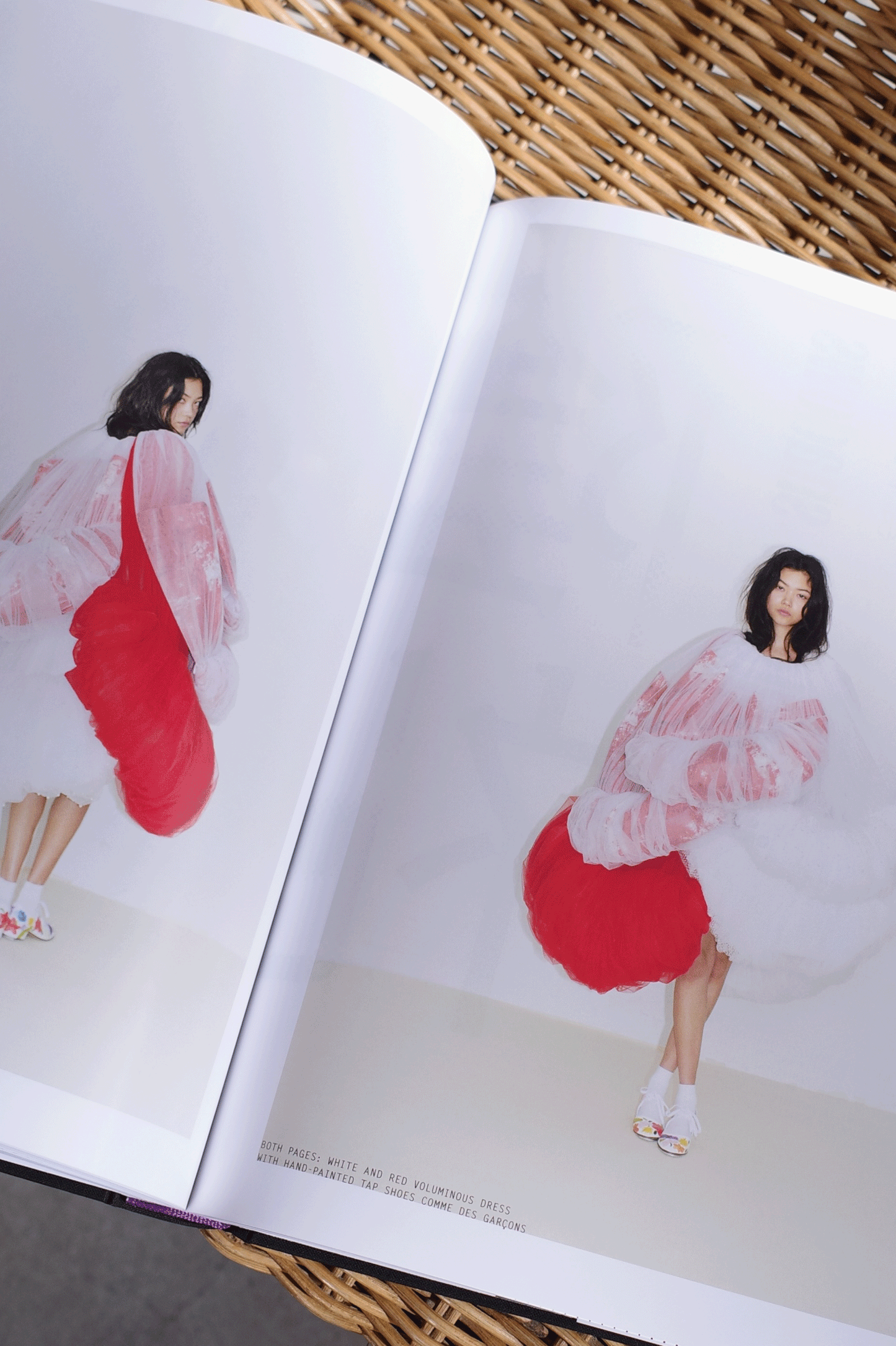 PURPLE #43 The Tokyo Diary Issue : Kiko Mizuhara in Saint Laurent by Takashi Homma - 0fr. Tokyo