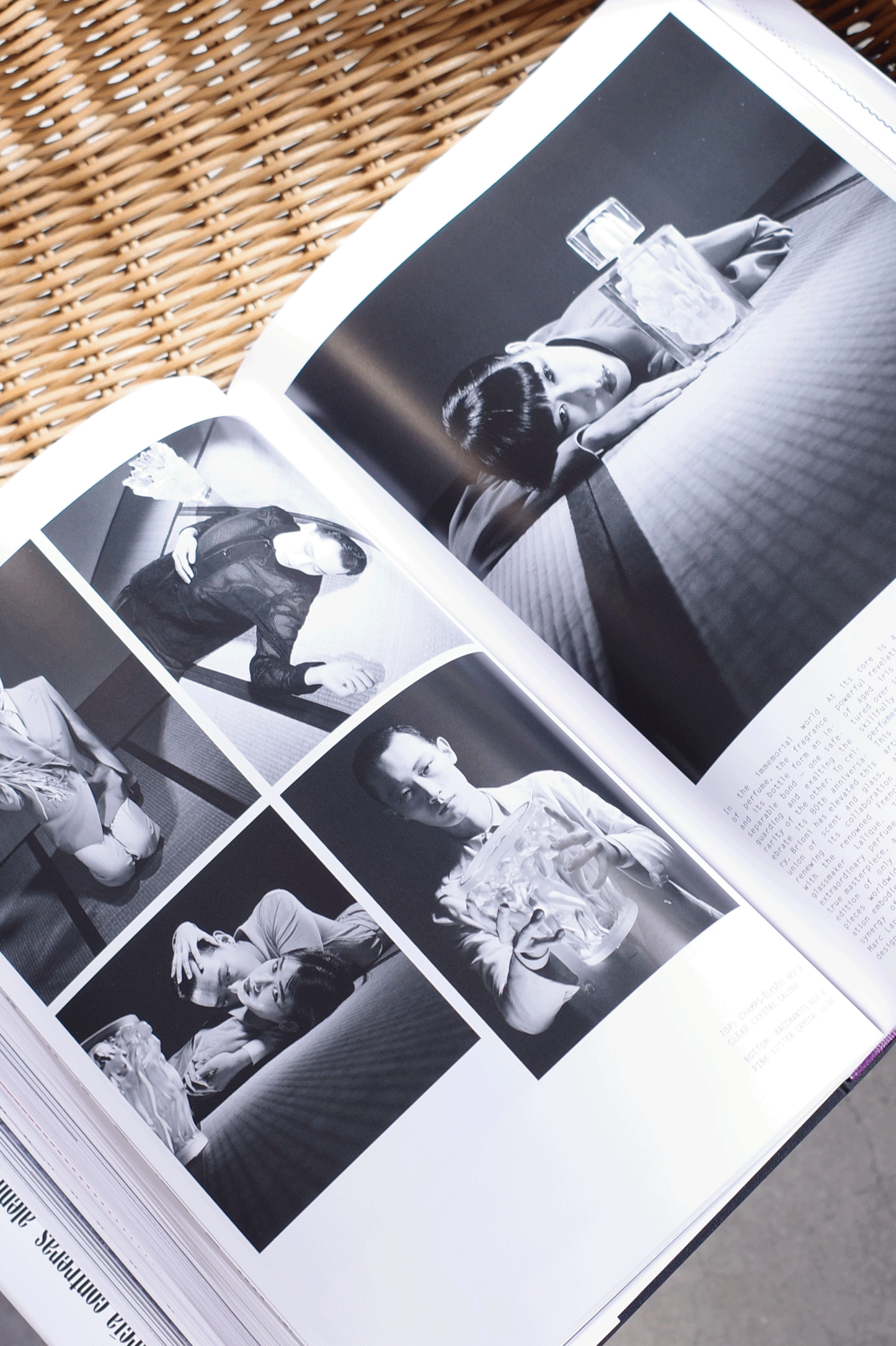 PURPLE #43 The Tokyo Diary Issue : Tomoo Gokita - 0fr. Tokyo