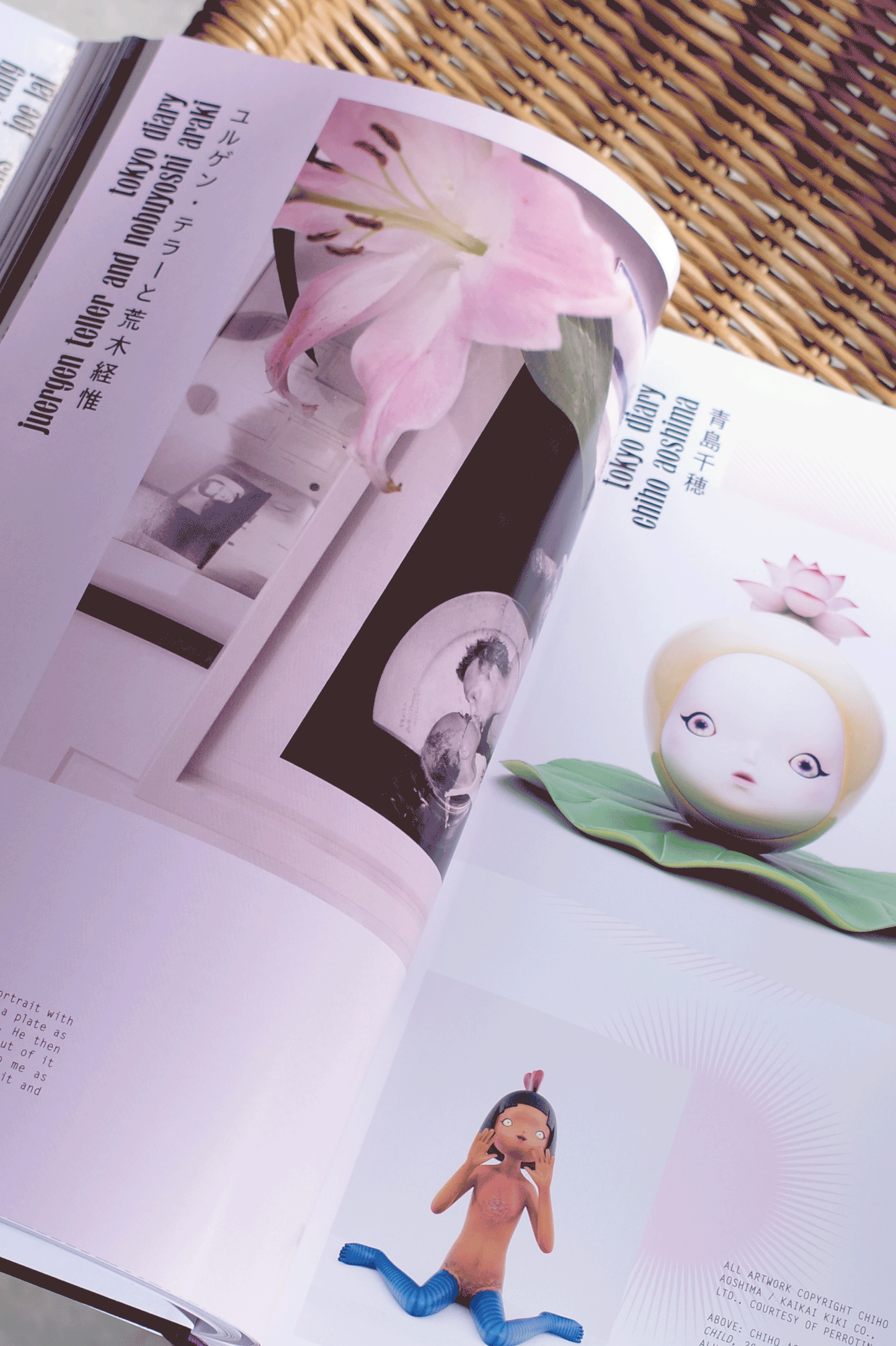 PURPLE #43 The Tokyo Diary Issue : Takashi Murakami - 0fr. Tokyo