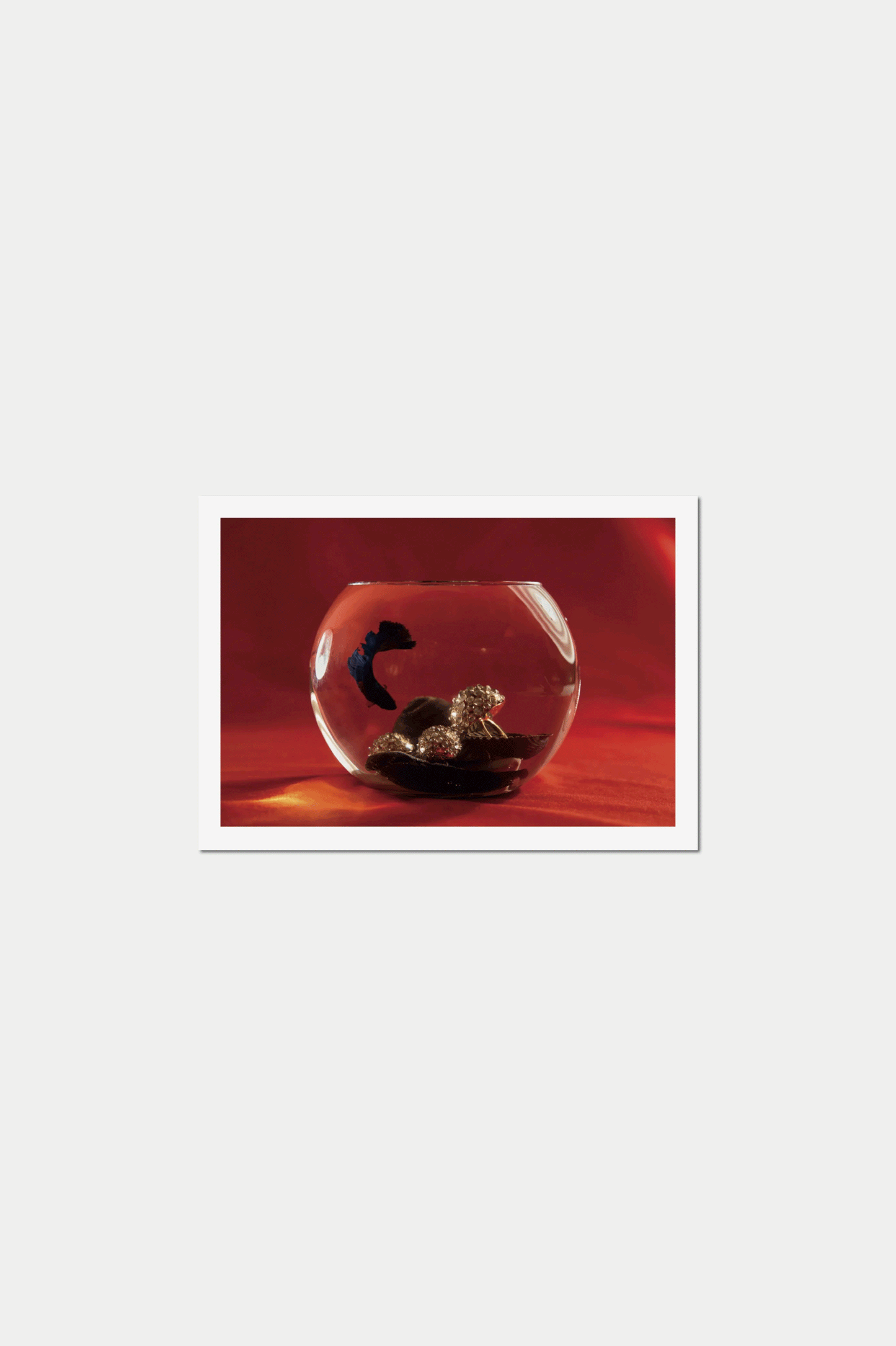 STUDY MAGAZINE VOLUME 10 - On Reimagining Perfection