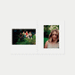 THE VIRGIN SUICIDES by Sofia Coppola - 0fr. Tokyo