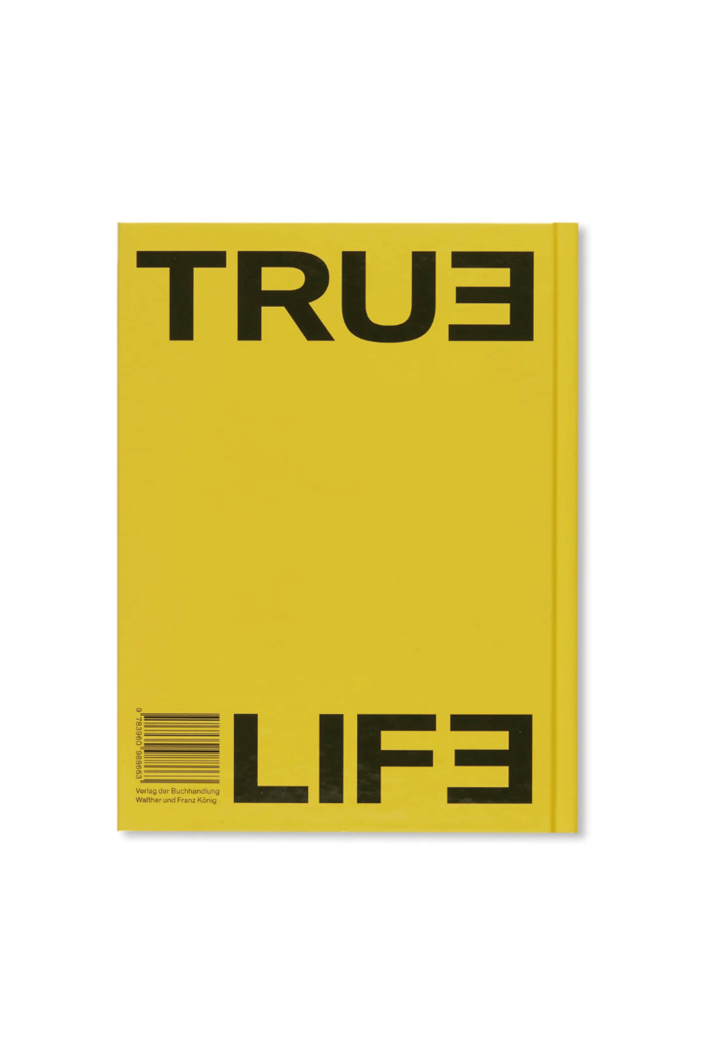 TRUE LIFE by Alex Da Corte