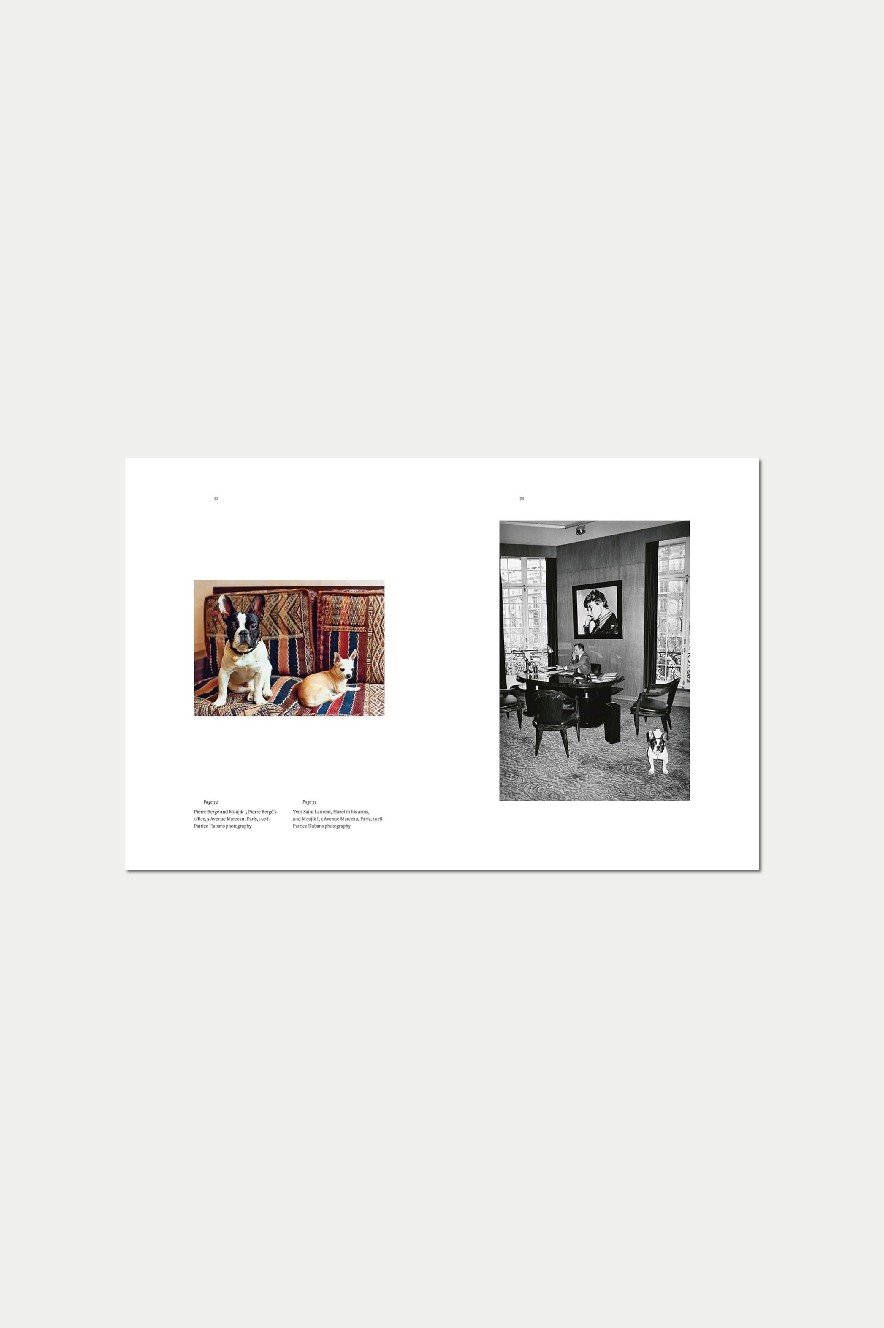 (希少) フォルナセッティ作品集【Designer of Dreams】洋書 Amazon | Fornasetti: Designer of Dreams (Piero Fornasetti