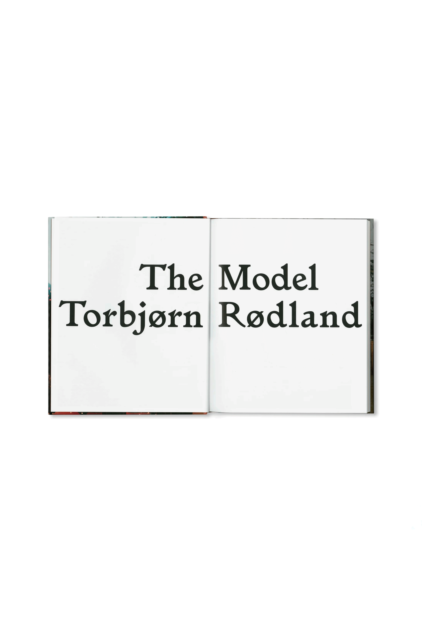 THE MODEL by Torbjørn Rødland